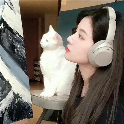 阴守忍者